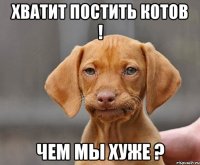 хватит постить котов ! чем мы хуже ?