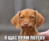 я щас прям потеку