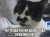  ну, куда ты их дела? где твои мозги?