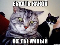 ебаать какой же ты умный