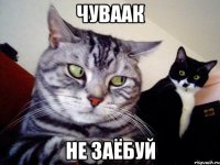 чуваак не заёбуй