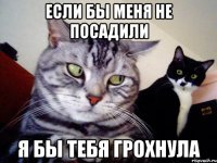 если бы меня не посадили я бы тебя грохнула