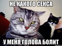 не какого секса у меня голова болит