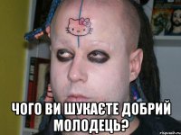  чого ви шукаєте добрий молодець?