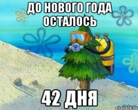 до нового года осталось 42 дня