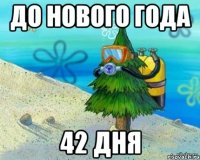 до нового года 42 дня