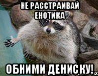 не расстраивай енотика обними дениску!