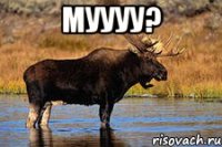 муууу? 