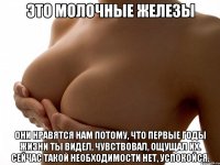 это молочные железы они нравятся нам потому, что первые годы жизни ты видел, чувствовал, ощущал их. сейчас такой необходимости нет, успокойся.