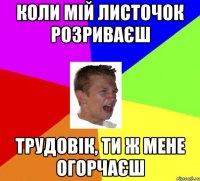 коли мій листочок розриваєш трудовік, ти ж мене огорчаєш