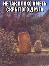 Не так плохо иметь скрытого друга 