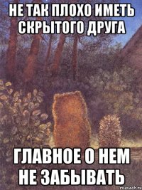 Не так плохо иметь скрытого друга главное о нем не забывать