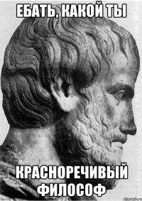 ебать, какой ты красноречивый философ