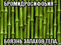 бромидросифобия – боязнь запахов тела.