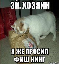 эй, хозяин я же просил фиш кинг