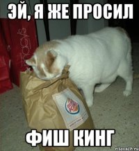 эй, я же просил фиш кинг