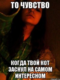 То чувство когда твой кот заснул на самом интересном