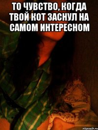 То чувство, когда твой кот заснул на самом интересном 