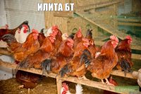 Илита БТ