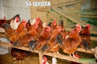 56 школа