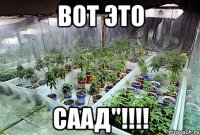 вот это саад"!!!