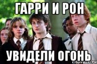 ГАРРИ И РОН УВИДЕЛИ ОГОНЬ