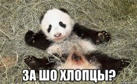  за шо хлопцы?