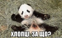  хлопці, за що?