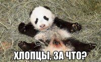  Хлопцы, за что?
