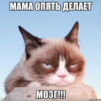 мама опять делает мозг!!!