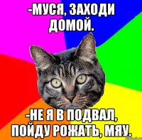 -муся, заходи домой. -не я в подвал, пойду рожать, мяу.