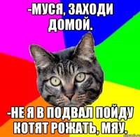 -муся, заходи домой. -не я в подвал пойду котят рожать, мяу.