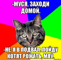 -муся, заходи домой. -не, я в подвал. пойду котят рожать, мяу.
