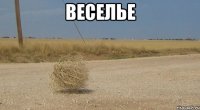 веселье 