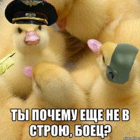  ты почему еще не в строю, боец?