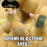  почему не в строю, боец?