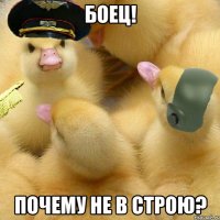 боец! почему не в строю?