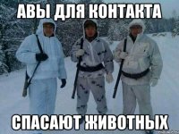 авы для контакта спасают животных