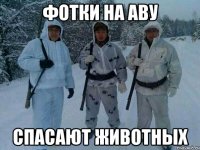 фотки на аву спасают животных