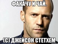 факачу и чай. (с) джейсон стетхем
