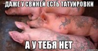 даже у свиней есть татуировки а у тебя нет