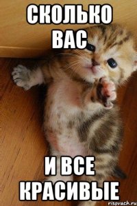 Сколько вас И все красивые