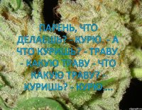  Парень, что делаешь? - Курю. - А что куришь? - Траву. - Какую траву - Что какую траву? - Куришь? - Курю....