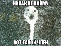 никак не пойму вот такой член