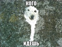 кого идешь