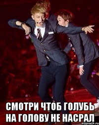  смотри чтоб голубь на голову не насрал