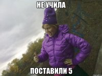 не учила поставили 5