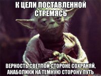 к цели поставленной стремясь верность светлой стороне сохраняй, анаболики на темную сторону путь