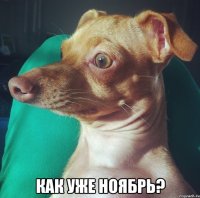  как уже ноябрь?