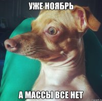 уже ноябрь а массы все нет